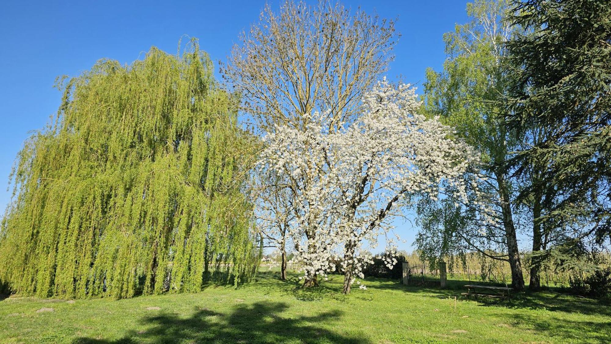 Apartmán Domaine Des Moizons, Le Figuier Villebernier Exteriér fotografie